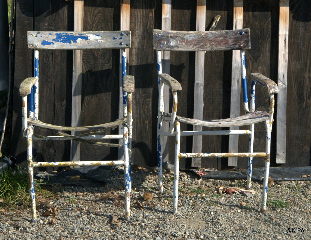 Les élections européennes (chronique de Philippe Meyer du jour)