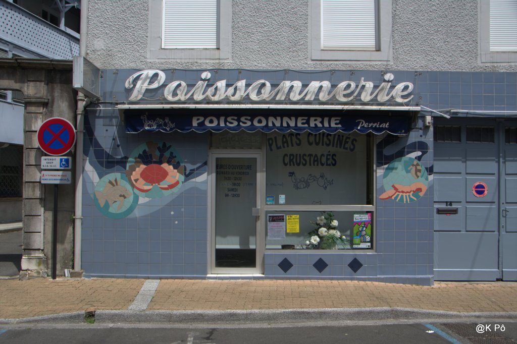 Parachutage sans parapluie d’une baleine à Paris