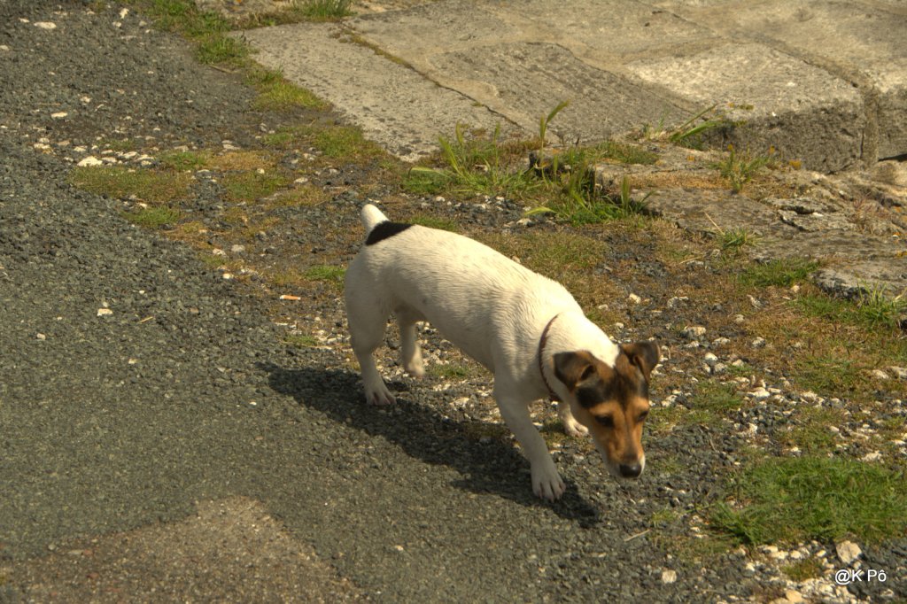 just a little more, mister&nbsp;Winter