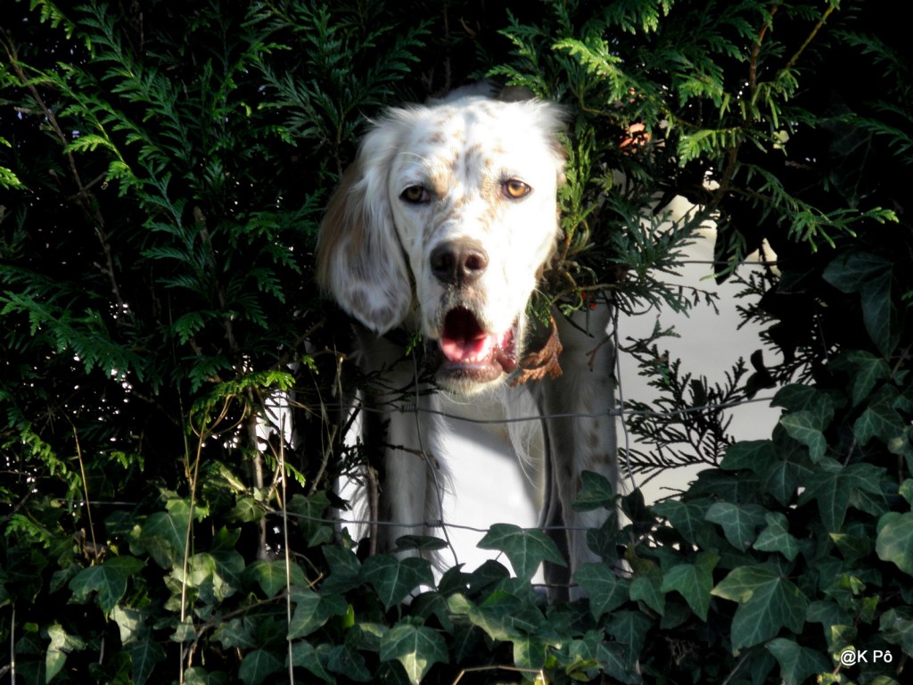 plongeon dans le MDT (monde du&nbsp;travail)