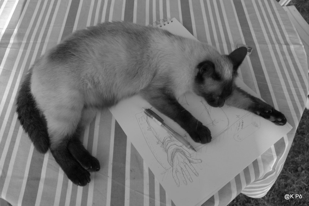 Dévoré par son chat, son bras finit le dessin tout seul&nbsp;!