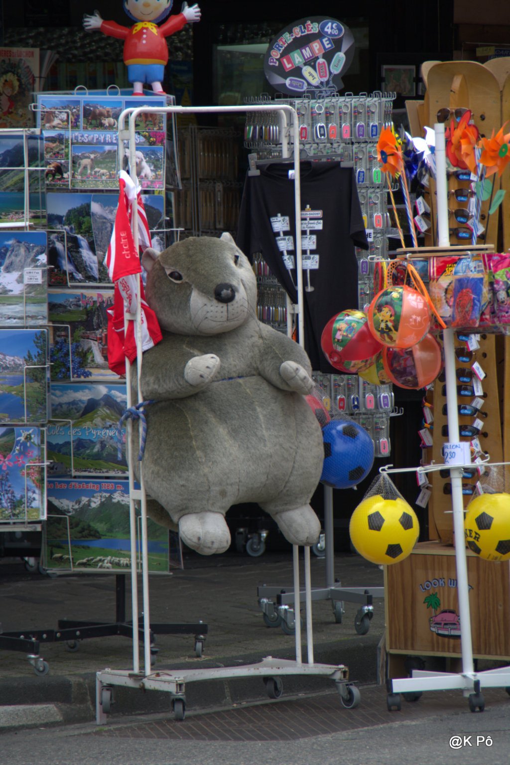 des animaux plein les doigts (Guido Daniele)