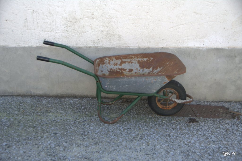 Cameron Edser :I’ve been everywhere, Man !