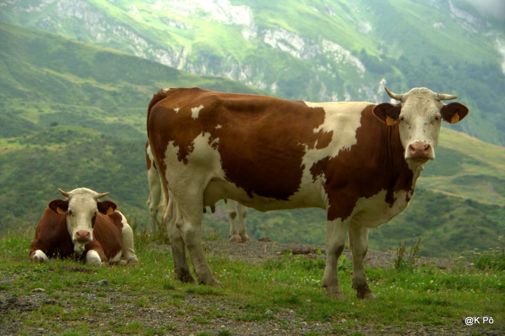 A l&rsquo;enterrement d&rsquo;une Freebox (une semaine sans papiers virtuels, la liberté d&rsquo;enfin&nbsp;penser)