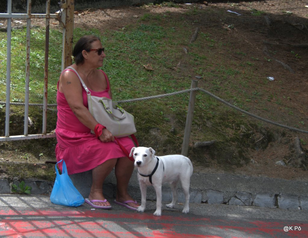 un bon petit Jean Claude Vannier de 1975 (excellent&nbsp;cru)