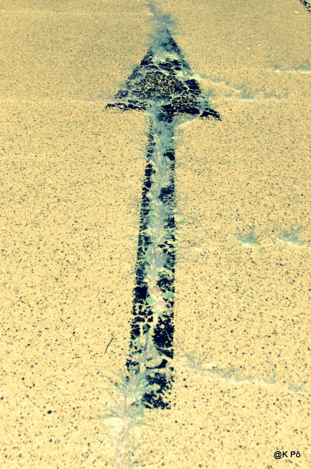 les petites routes du bout du monde…