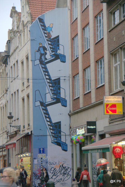 IMGP4233