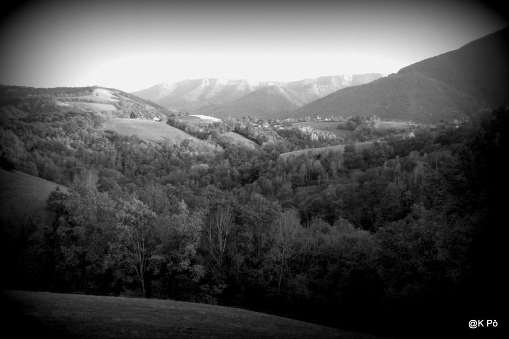 wet and sea… De belles photos qui nous tirent vers le réel, mais pas de&nbsp;suite…?