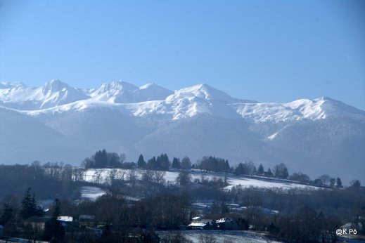 IMGP4593