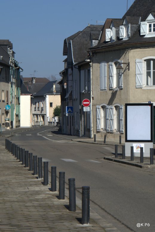 IMGP4616