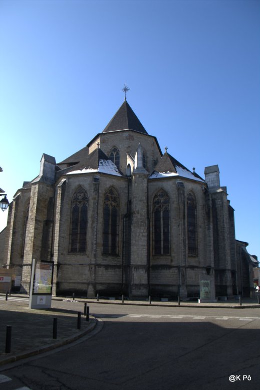 IMGP4620