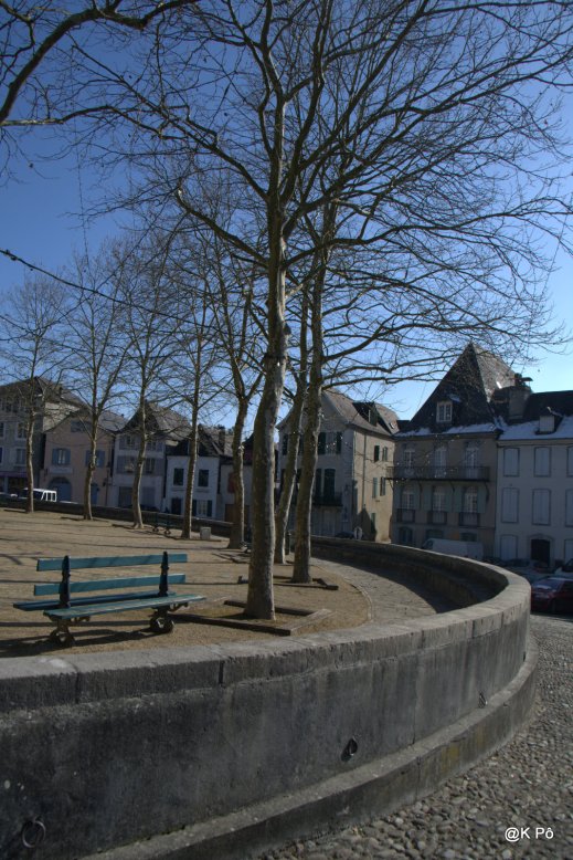 IMGP4631