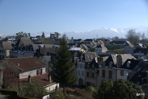 IMGP4636