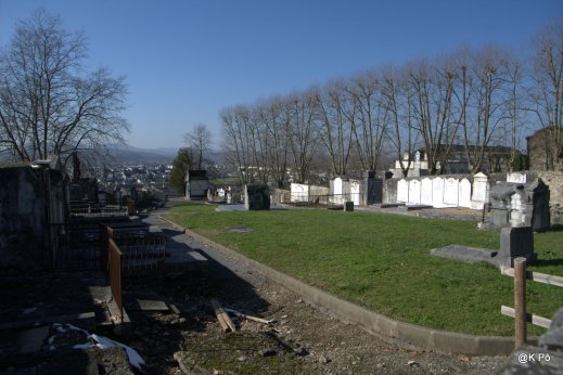 IMGP4637