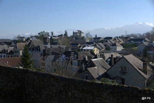 IMGP4639
