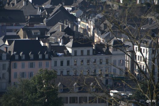 IMGP4646