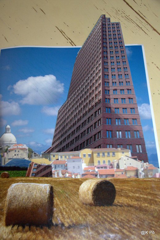 IMGP4584