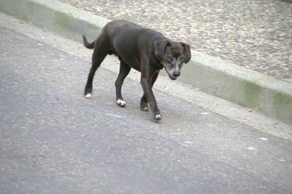 YOU AND ME (en cours)