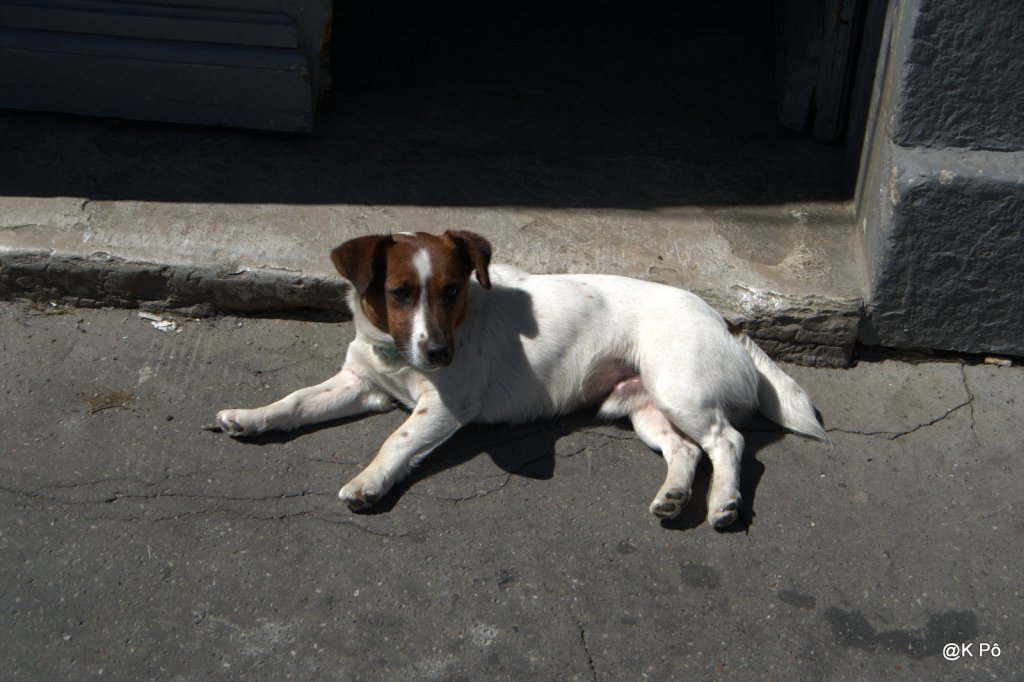 just a little Ian Dury, pour la fête de la musique&nbsp;!