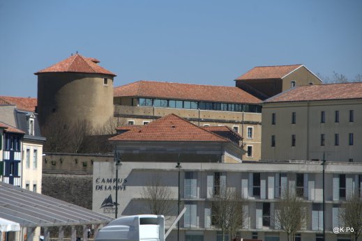 IMGP4873