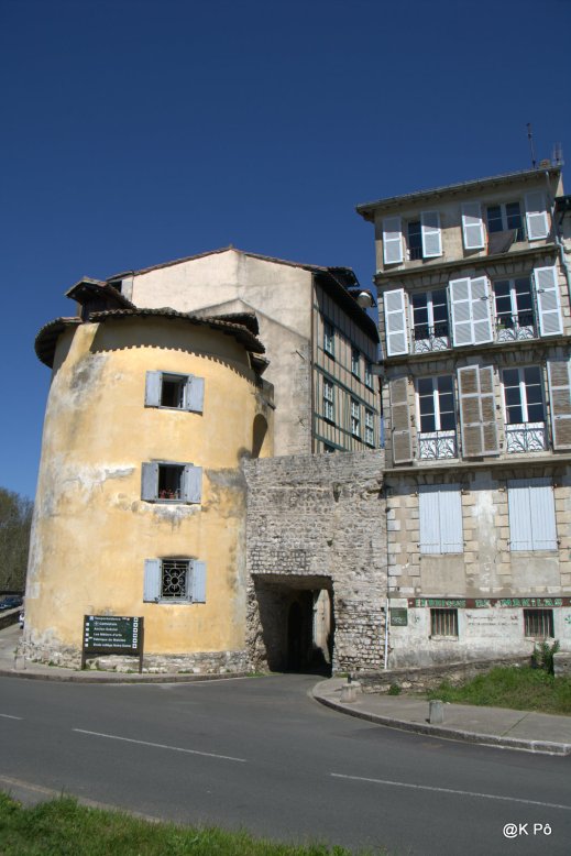 IMGP4883