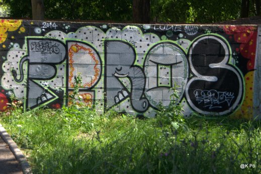 IMGP4990