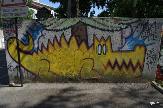 IMGP4991