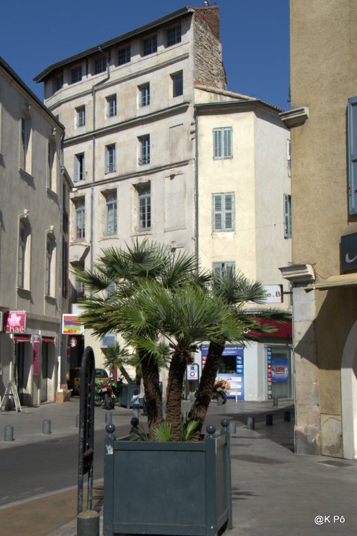 IMGP5013