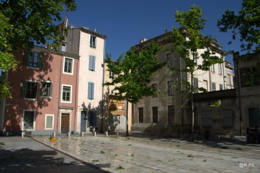 IMGP5016