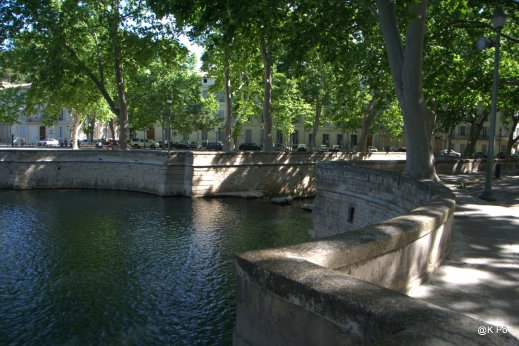 IMGP5022