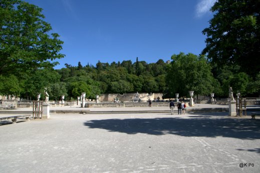IMGP5026