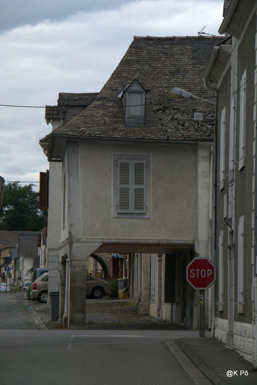IMGP5581