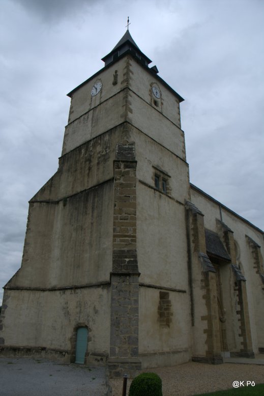 IMGP5582