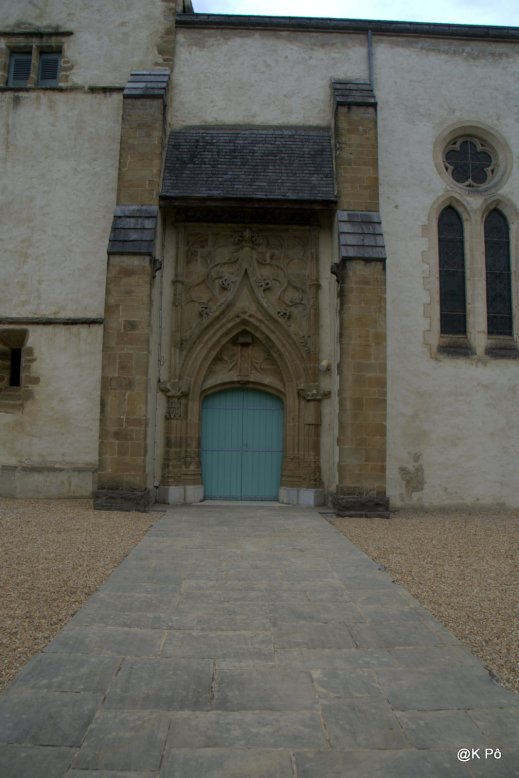 IMGP5584
