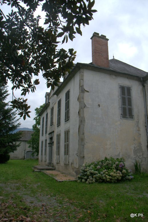IMGP5586
