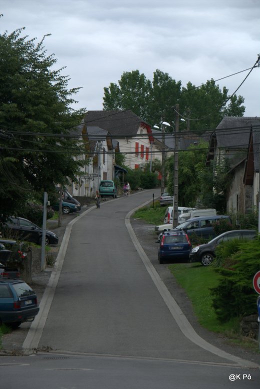 IMGP5590