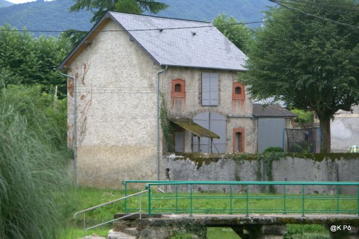 IMGP5591