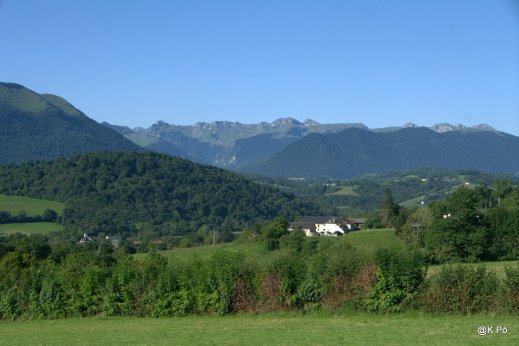 IMGP5728