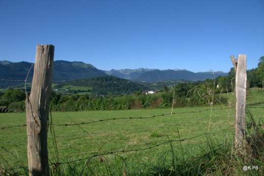 IMGP5730