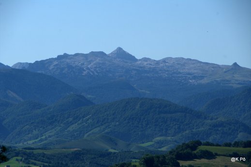IMGP5736