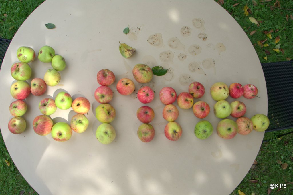 Arrivée de la pub qui pue sur France Inter : chronique de F.&nbsp;Morel