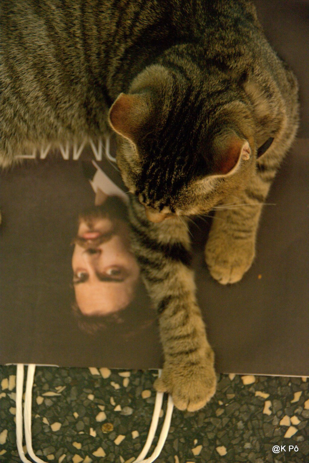 poker without jocker&nbsp;(sniff!)