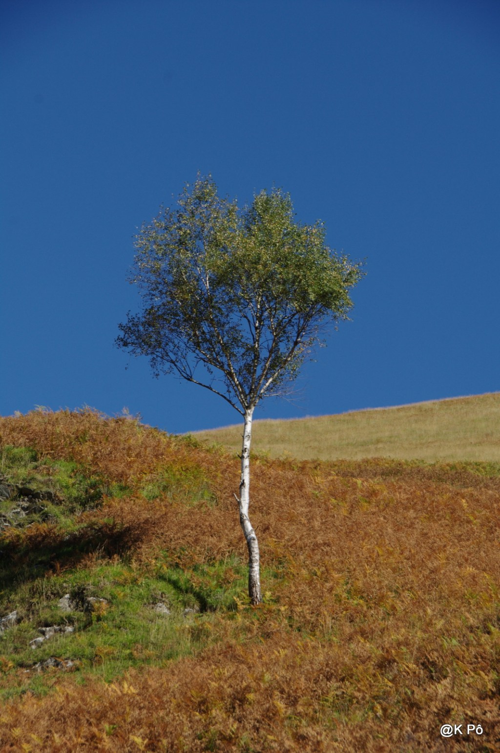 saison : automne ; assaisonnement : montagne ; couleur du ciel : bleu