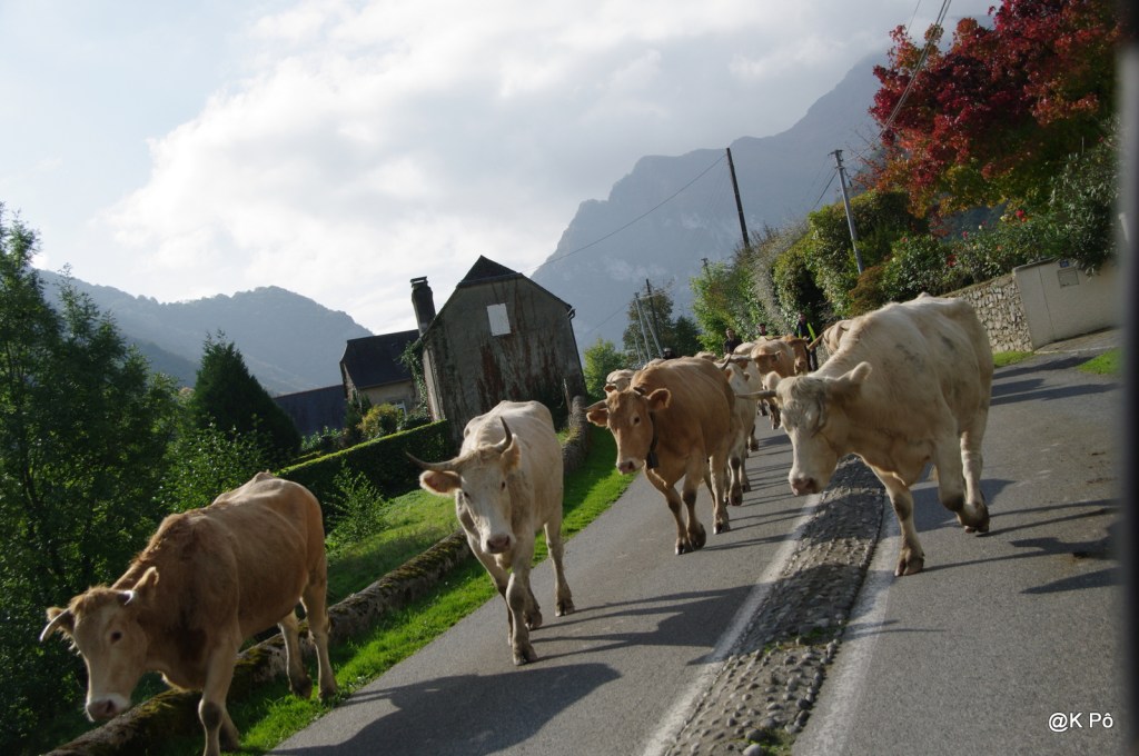 Luc Langevin, illusionniste québecquois qui laisse béat. scotchant !