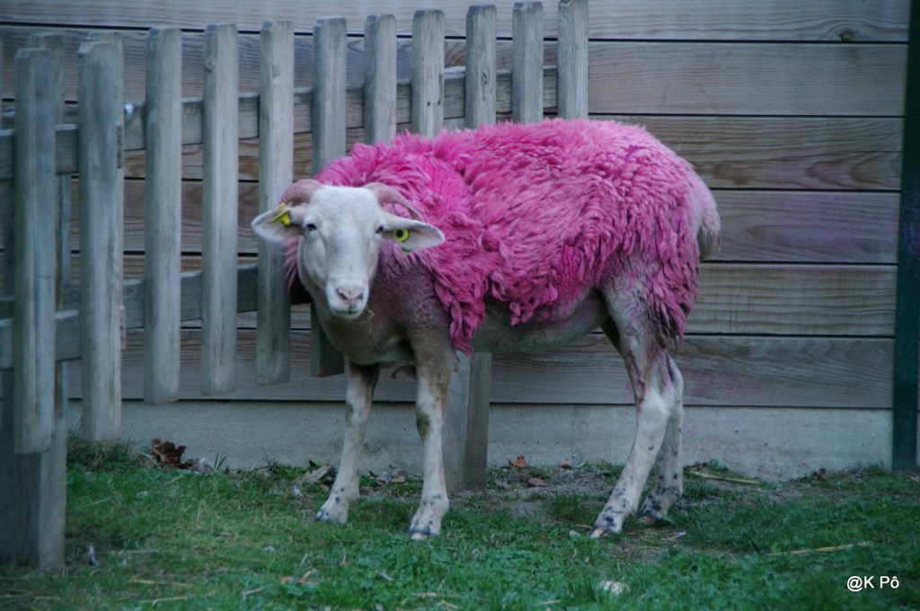 dans un tout autre genre : Die Antwoord, la réponse du zef sud&nbsp;africain