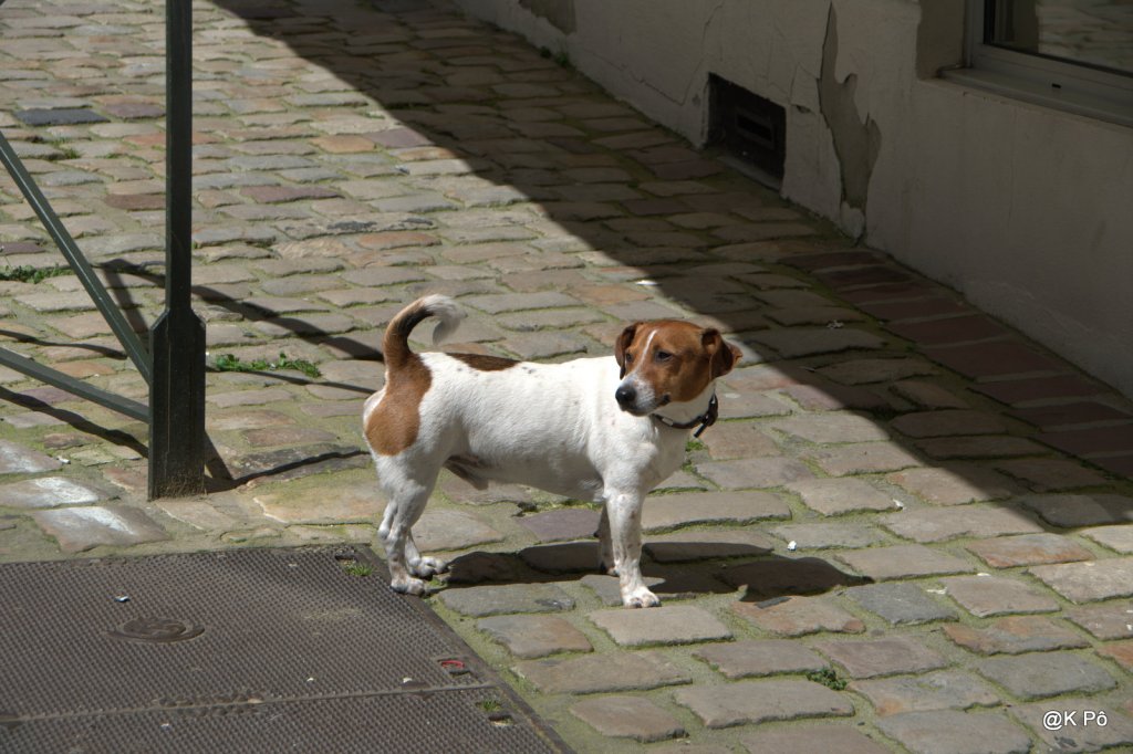 bienvenu à La Tordue, dans ce monde en&nbsp;folie