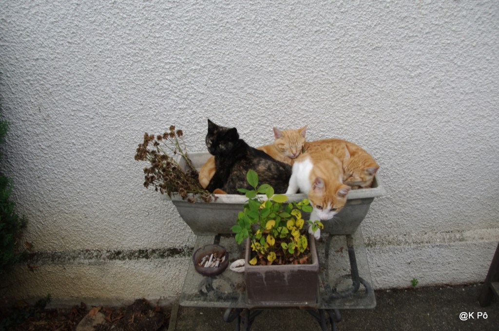 Y a plus d&rsquo;saison&nbsp;!