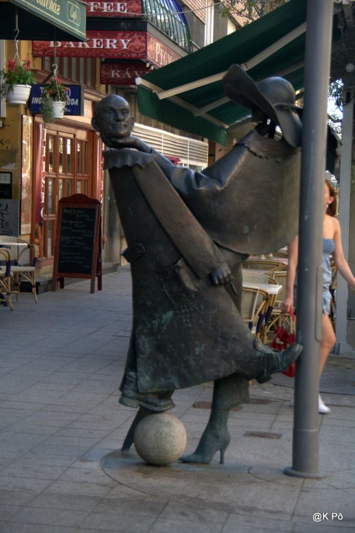 IMGP2993