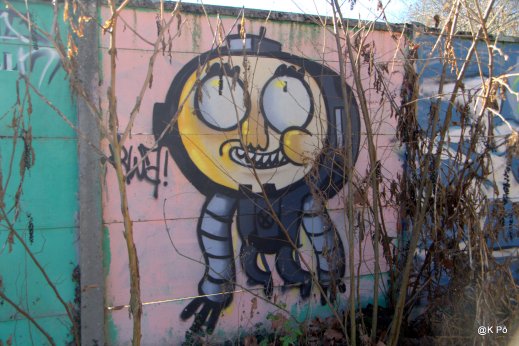 IMGP6738