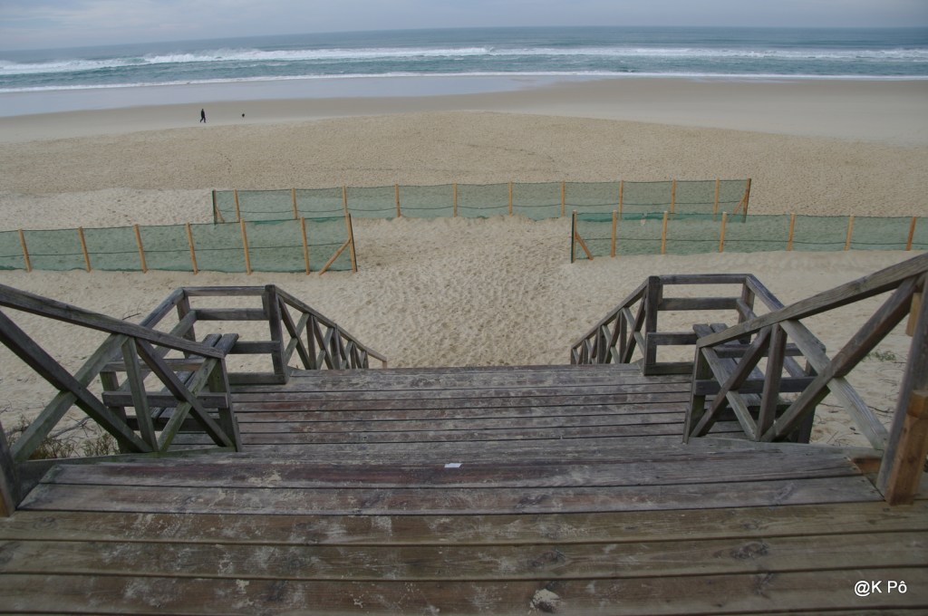 les mardis de la poésie : Kenneth White (1936-…)